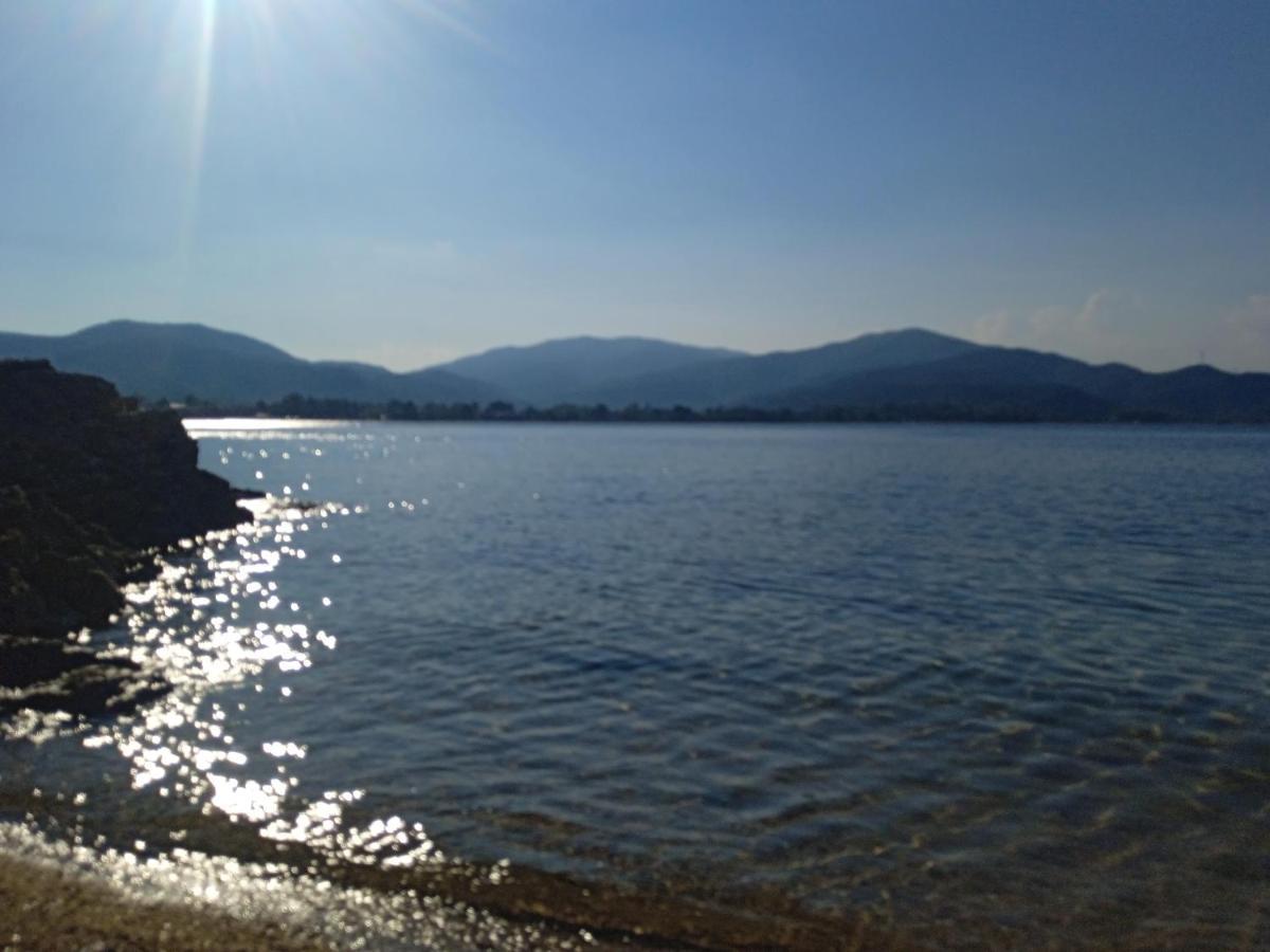 Edelweiss Halkidikis Holiday home Olympiada