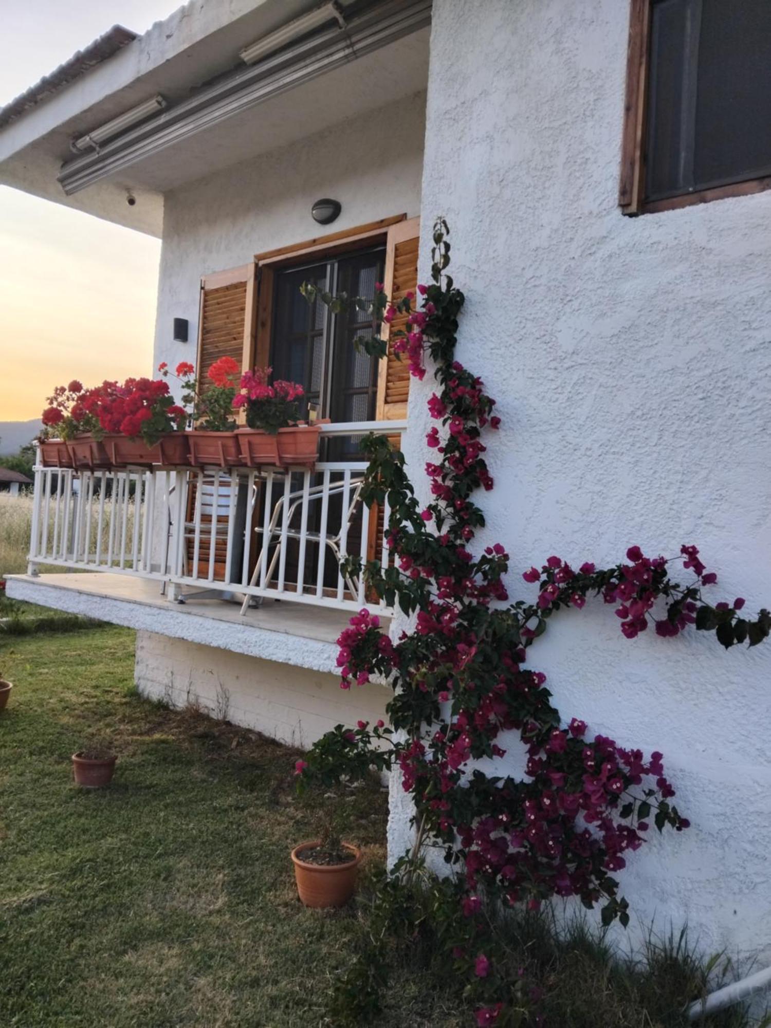 Gaestehaus Edelweiss Halkidikis *
