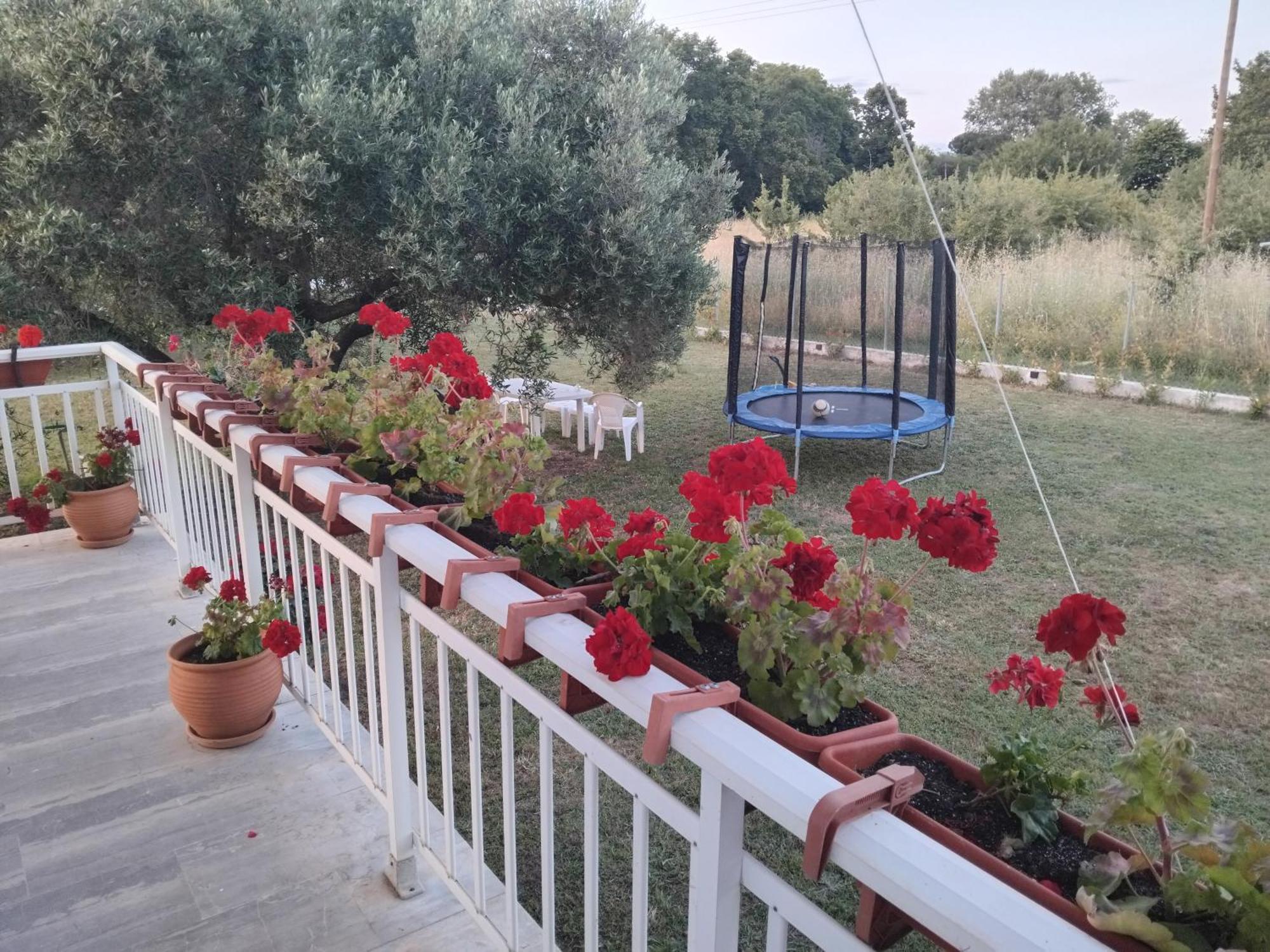 Casa vacanze Gaestehaus Edelweiss Halkidikis *